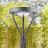 LED Post Top Solar 25W IP65 5000K with 3,000Lm for Courtyard lighting